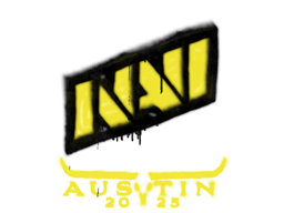 Natus Vincere | Austin 2025