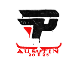 paiN Gaming | Austin 2025