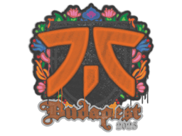 fnatic | Budapest 2025
