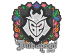 G2 esports | Budapest 2025