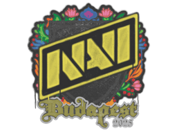 Natus Vincere | Budapest 2025