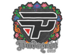 paiN Gaming | Budapest 2025