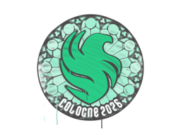 Falcons | Cologne 2026