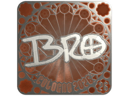 Sticker | br0 (Foil, Ranked) | Cologne 2026