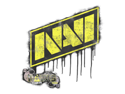 Natus Vincere | Paris 2023