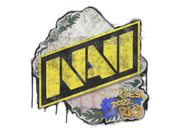 Natus Vincere | Rio 2022